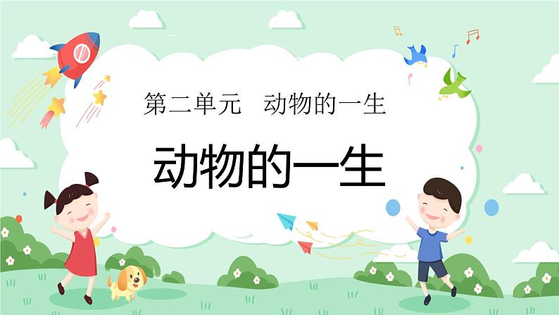 2.8动物的一生 课件+教案01