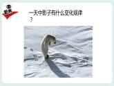 3.2阳光下物体的影子 课件+教案
