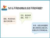 1.1  動物的家園（課件）六年級科學下冊大象版（2017）