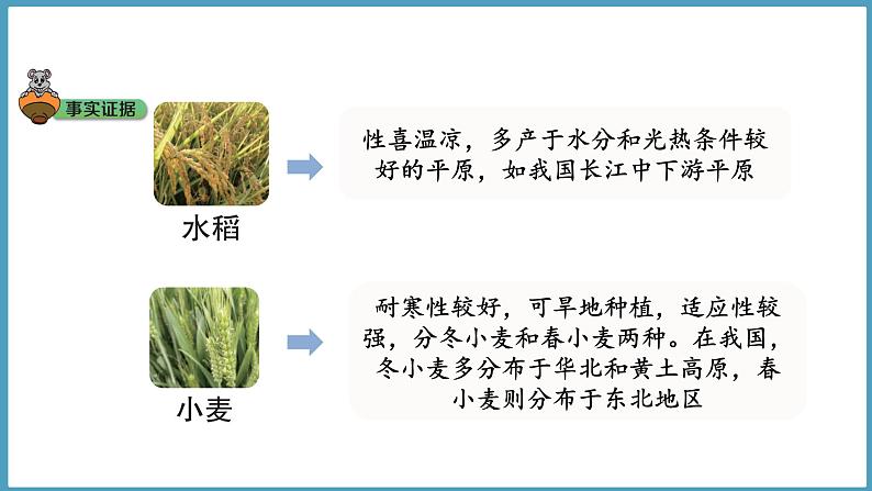 1.4  植物与环境（课件）六年级科学下册大象版（2017）第3页