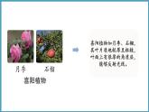 1.4  植物与环境（课件）六年级科学下册大象版（2017）