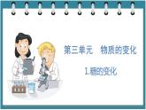 3.1  糖的变化（课件）六年级科学下册大象版（2017）