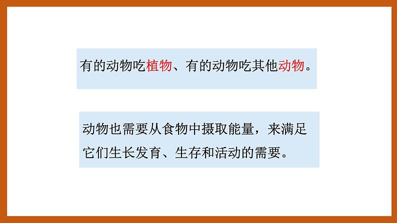 4.2  动物的食物（课件）五年级科学下册大象版（2017）03