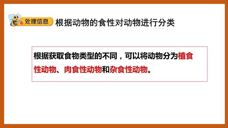 4.2  动物的食物（课件）五年级科学下册大象版（2017）06