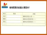 4.3  植物的“食物”（课件）五年级科学下册大象版（2017）