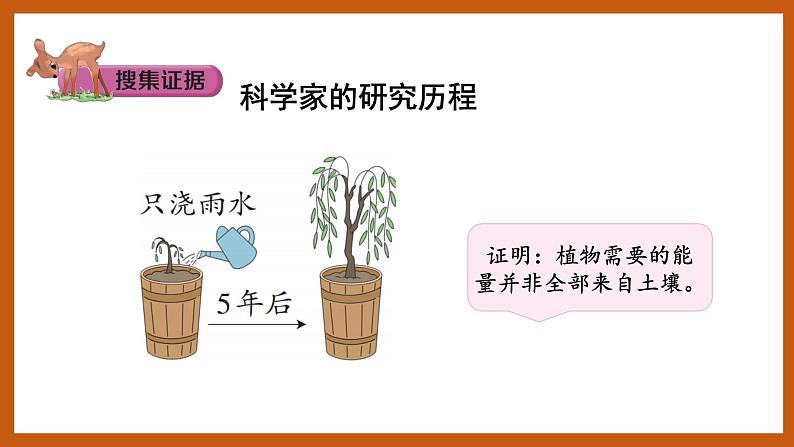 4.3  植物的“食物”（课件）五年级科学下册大象版（2017）第3页