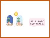 4.3  植物的“食物”（课件）五年级科学下册大象版（2017）