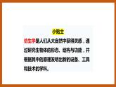 5.1  苍耳的启示（课件）五年级科学下册大象版（2017）