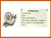 5.4  防震原理研究（课件）五年级科学下册大象版（2017）