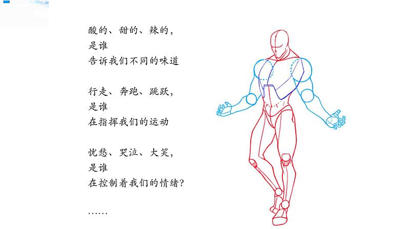 17刺激与反应 课件+教案+试题+素材01