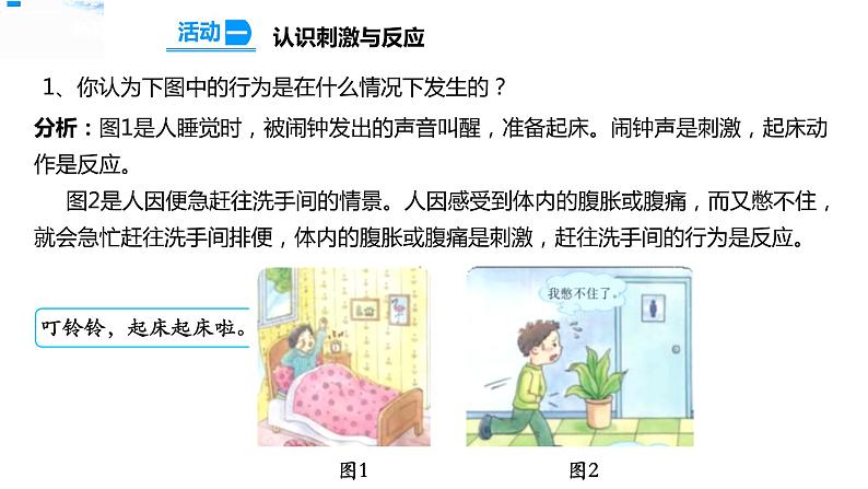 17刺激与反应 课件+教案+试题+素材04