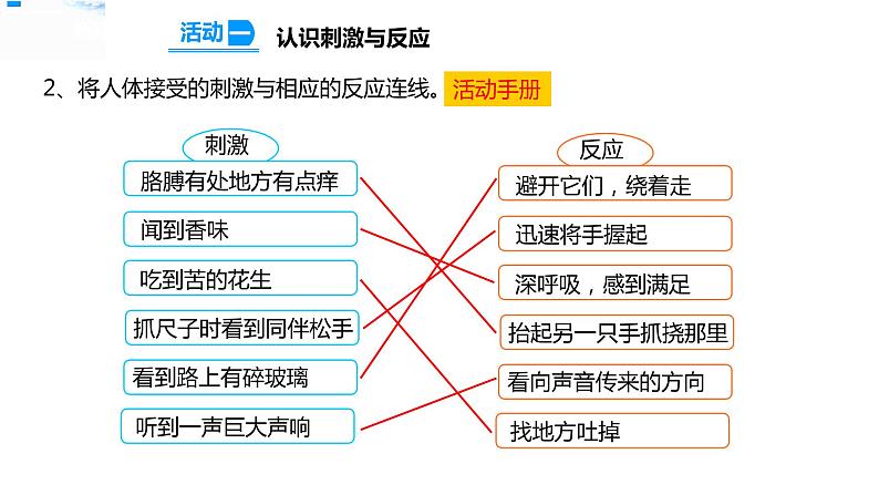 17刺激与反应 课件+教案+试题+素材07