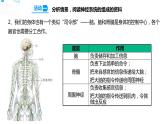 18从刺激到反应 课件+教案+试题+素材