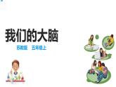 19我们的大脑 课件+教案+试题+素材