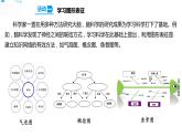 20大脑的开发与利用 课件+教案+试题+素材