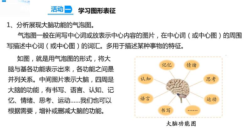 20大脑的开发与利用 课件第4页