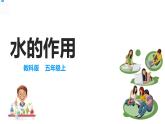 五年级上册科学资料包-2.6水的作用【课件+教案+试题+素材】教科版