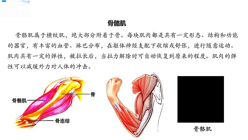 五年级上册科学资料包-4.2身体的运动【课件+教案+试题+素材】教科版07