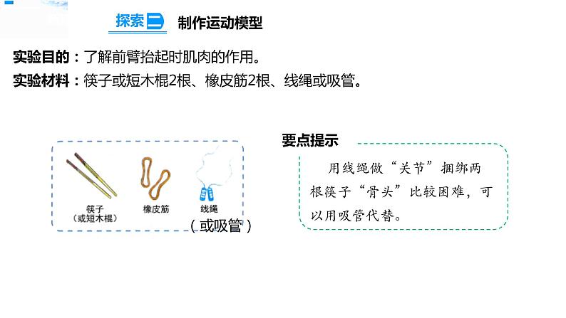 五年级上册科学资料包-4.2身体的运动【课件+教案+试题+素材】教科版08