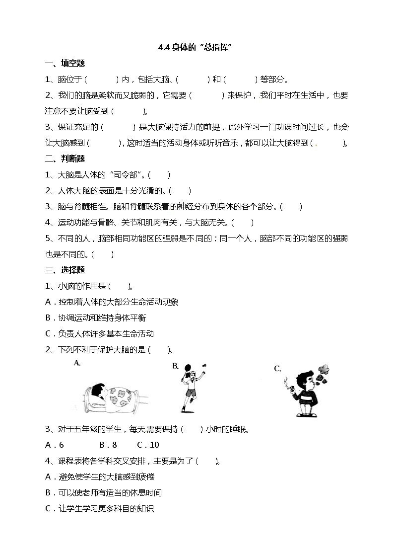 五年级上册科学资料包-4.4身体的“总指挥”【课件+教案+试题+素材】教科版01