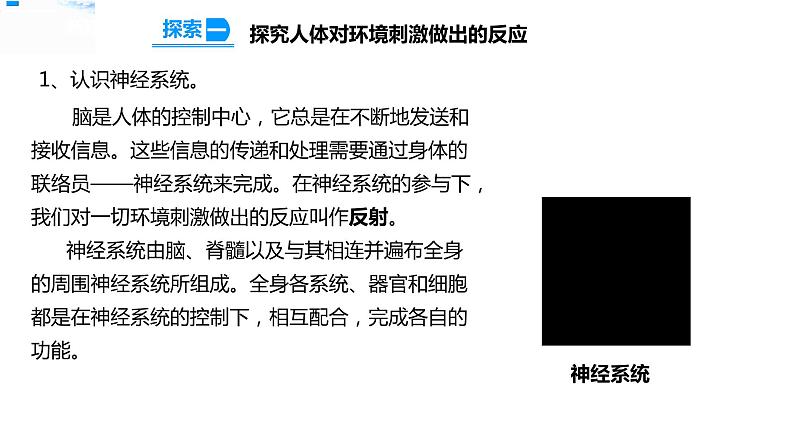 五年级上册科学资料包-4.5身体的“联络员”【课件+教案+试题+素材】教科版08