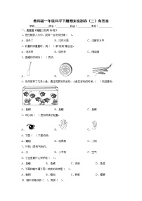 教科版一年级科学下册期末检测卷（二）有答案