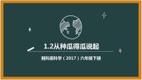 科学六年级下册第一单元 遗传与变异2 从种瓜得瓜说起示范课课件ppt