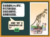 湘科版科学（2017）六年级下册2.1《化石带给我们的信息》课件