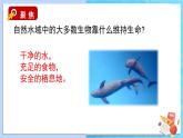 第7课 分析一个实际的环境问题课件PPT