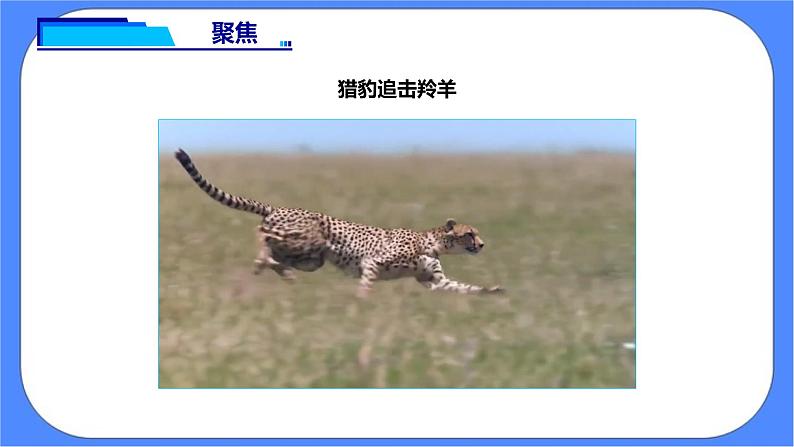 教科版三下科学1.6《比较相同时间内运动的快慢》课件（送教案练习）03