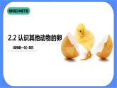 教科版三下科学2.2《认识其他动物的卵》课件（送教案练习）