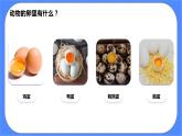 教科版三下科学2.2《认识其他动物的卵》课件（送教案练习）