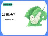 教科版三下科學2.3《蠶長大了》課件+素材（送教案練習）