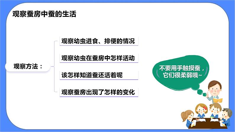 2.3《蚕长大了》课件 教科版三下科学第6页