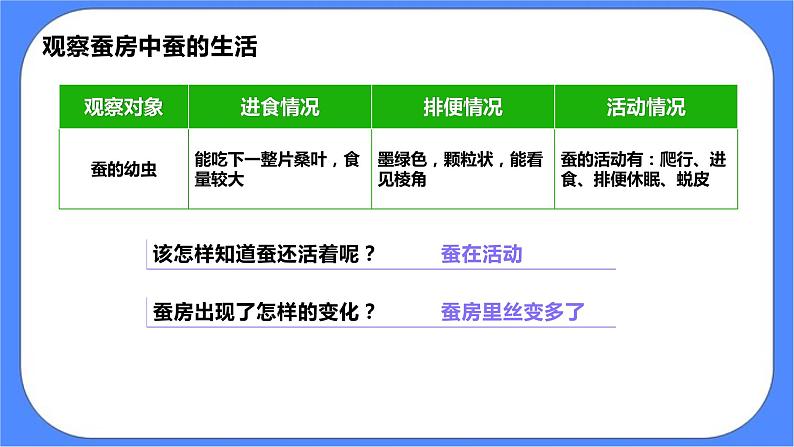 2.3《蚕长大了》课件 教科版三下科学第7页