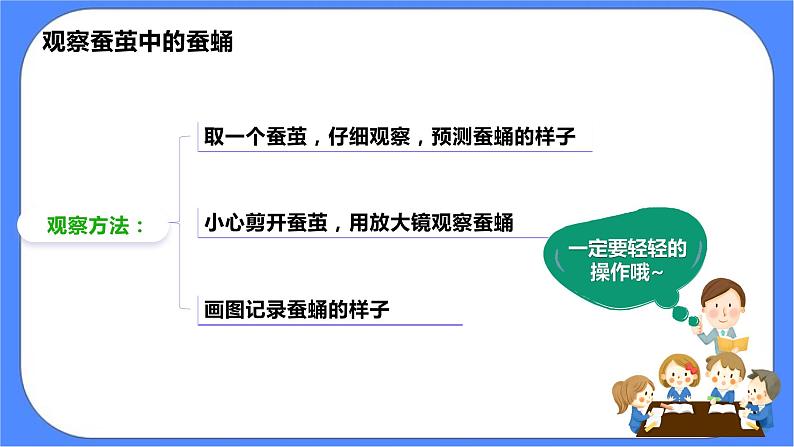 教科版三下科学2.4《蚕变了新模样》课件+素材（送教案练习）06