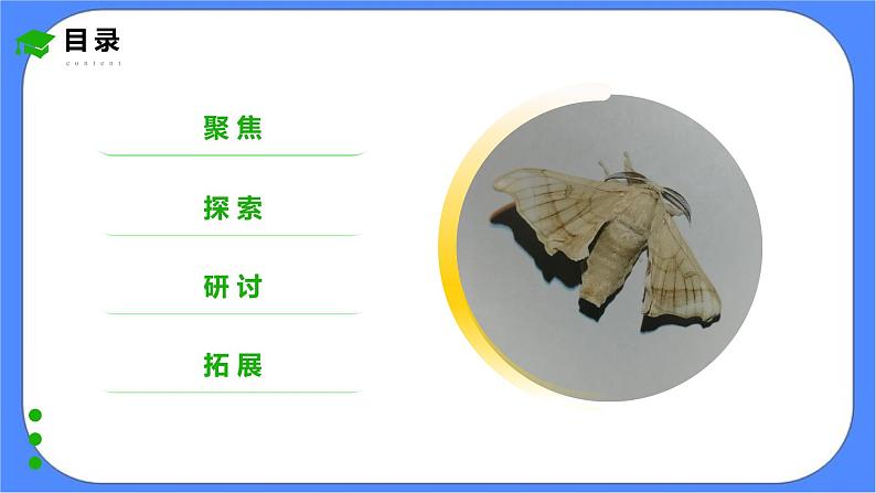 教科版三下科学2.5《茧中钻出了蚕蛾》课件+素材（送教案练习）03
