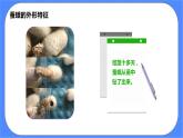 教科版三下科学2.5《茧中钻出了蚕蛾》课件+素材（送教案练习）