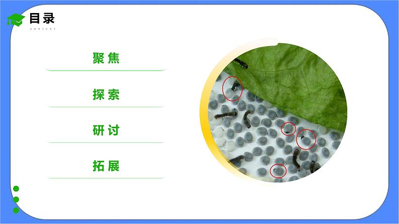 2.7《动物的繁殖》课件 教科版三下科学第2页