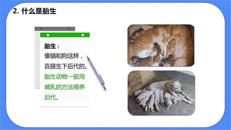 2.7《动物的繁殖》课件 教科版三下科学第8页