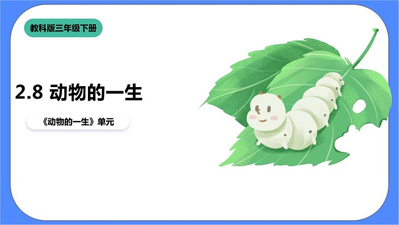 教科版三下科学2.8《动物的一生》课件（送教案练习）01