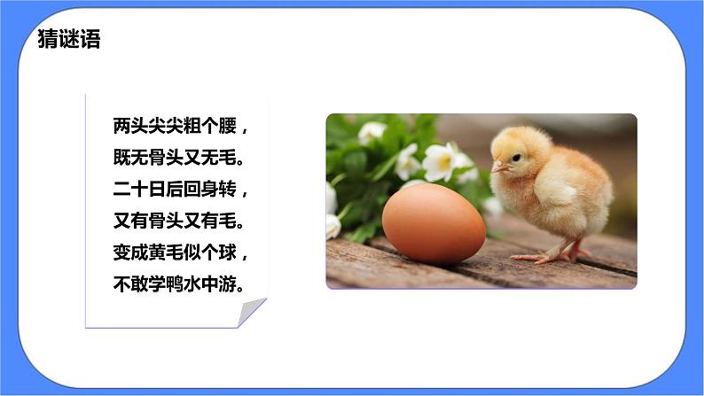 教科版三下科学2.8《动物的一生》课件（送教案练习）06