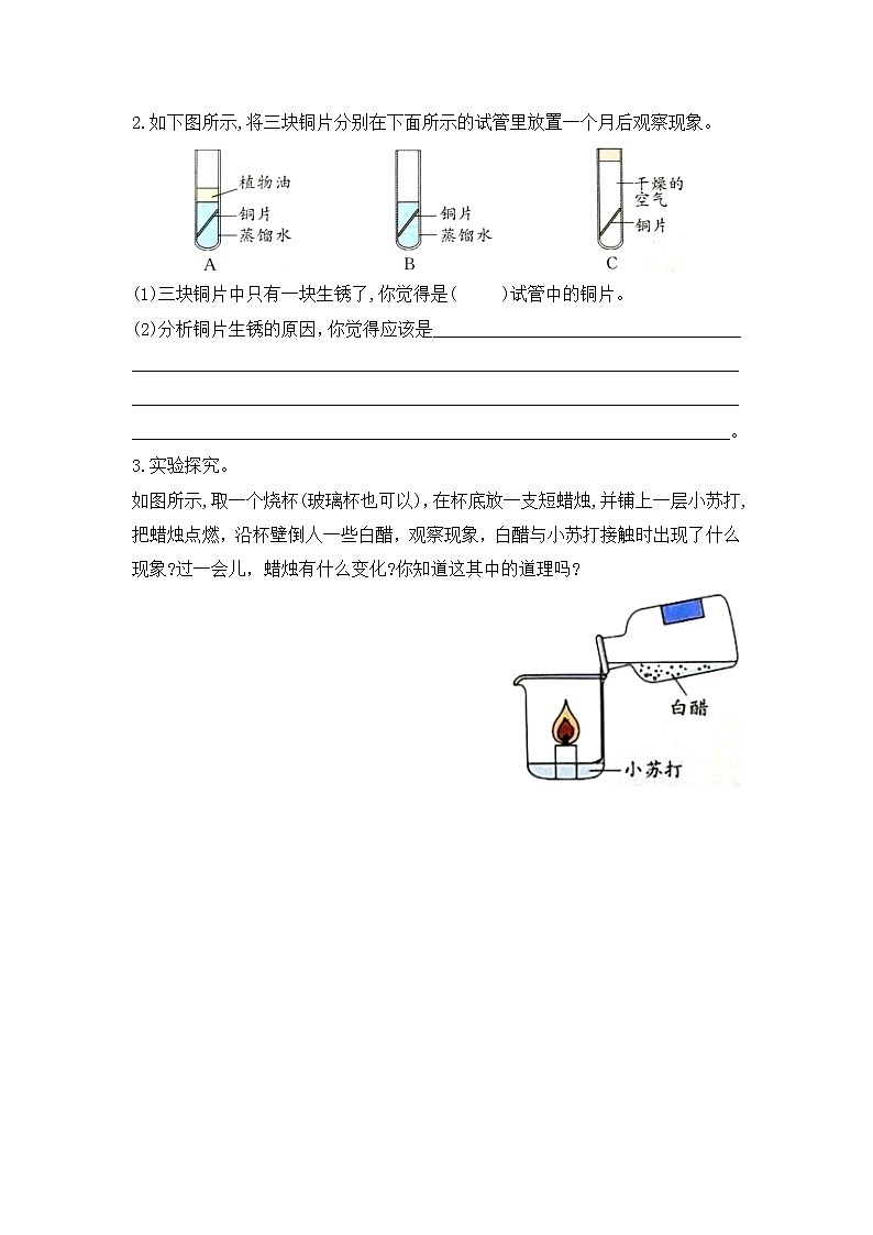 第一单元过关测试苏教版科学六年级上册（含答案）03