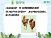 2.5生物的遗传（课件+练习）苏教版科学六年级上册