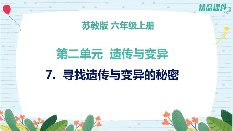 2.7寻找遗传与变异的秘密（课件+练习）苏教版科学六年级上册01