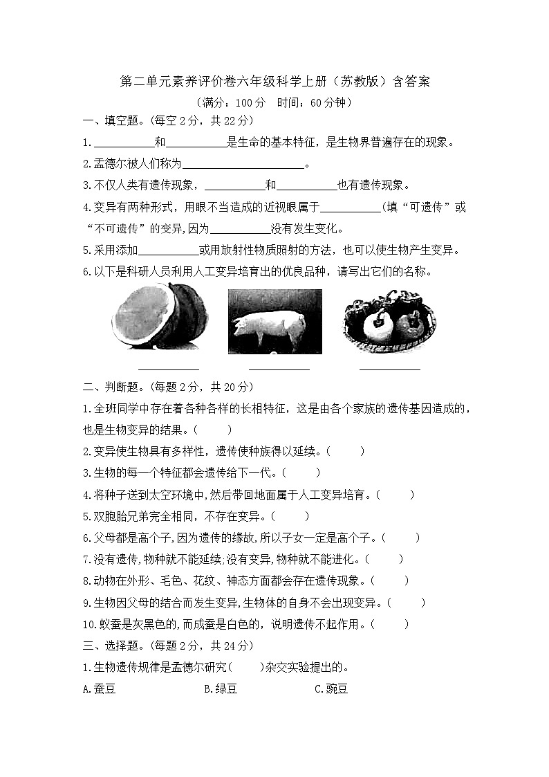 第二单元素养评价卷精编苏教版科学六年级上册（含答案）01