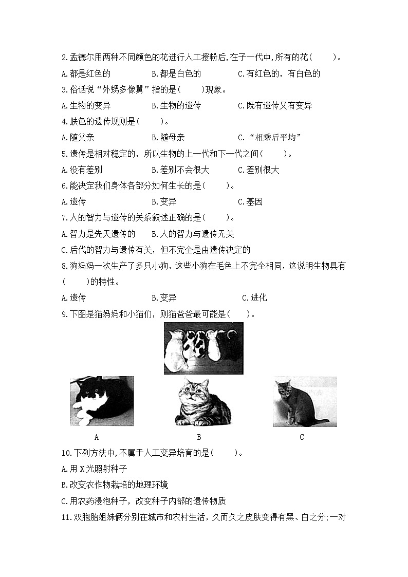 第二单元素养评价卷精编苏教版科学六年级上册（含答案）02