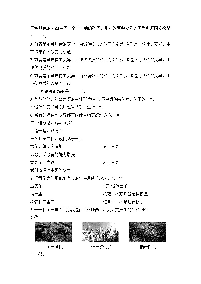 第二单元素养评价卷精编苏教版科学六年级上册（含答案）03