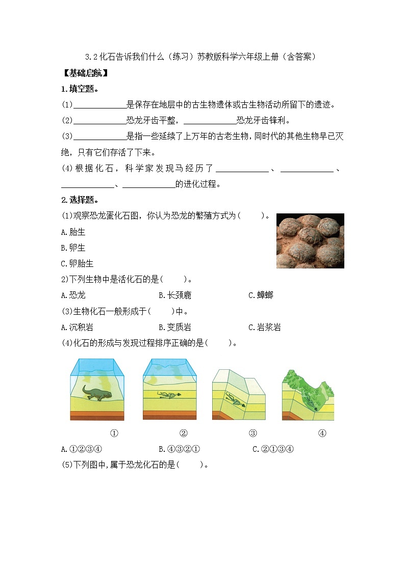 3.9化石告诉我们什么（练习）苏教版科学六年级上册第1页