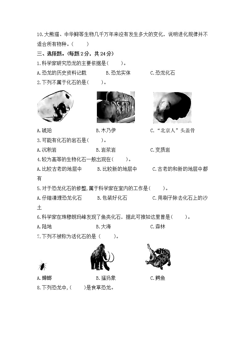 第三单元素养评价卷精编苏教版科学六年级上册（含答案）第2页